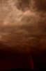 n501807078_981883_1477.jpg