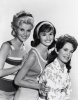 71e3f0f161bf11f54aa536d4c25ad30b--petticoat-junction-vintage-tv.jpg