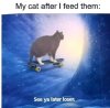 FB_IMG_1756049699211.jpg