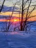 FB_IMG_1769994958579.jpg