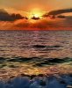 FB_IMG_1785076748250.jpg