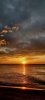 FB_IMG_1781229796394.jpg