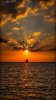 FB_IMG_1786928459192.jpg